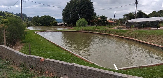 Foto imóvel