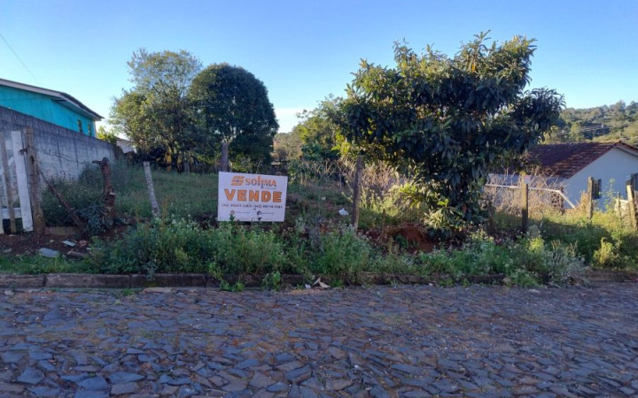 ÓTIMO LOTE GRANDE Lote