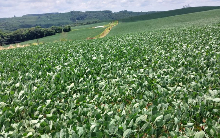 FAZENDA PARA LAVOURA Fazenda