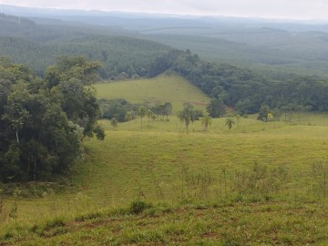 Fazenda - Venda - Reserva - Reserva - PR