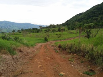 Fazenda - Venda - Cndido de Abreu - Cndido de Abreu - PR